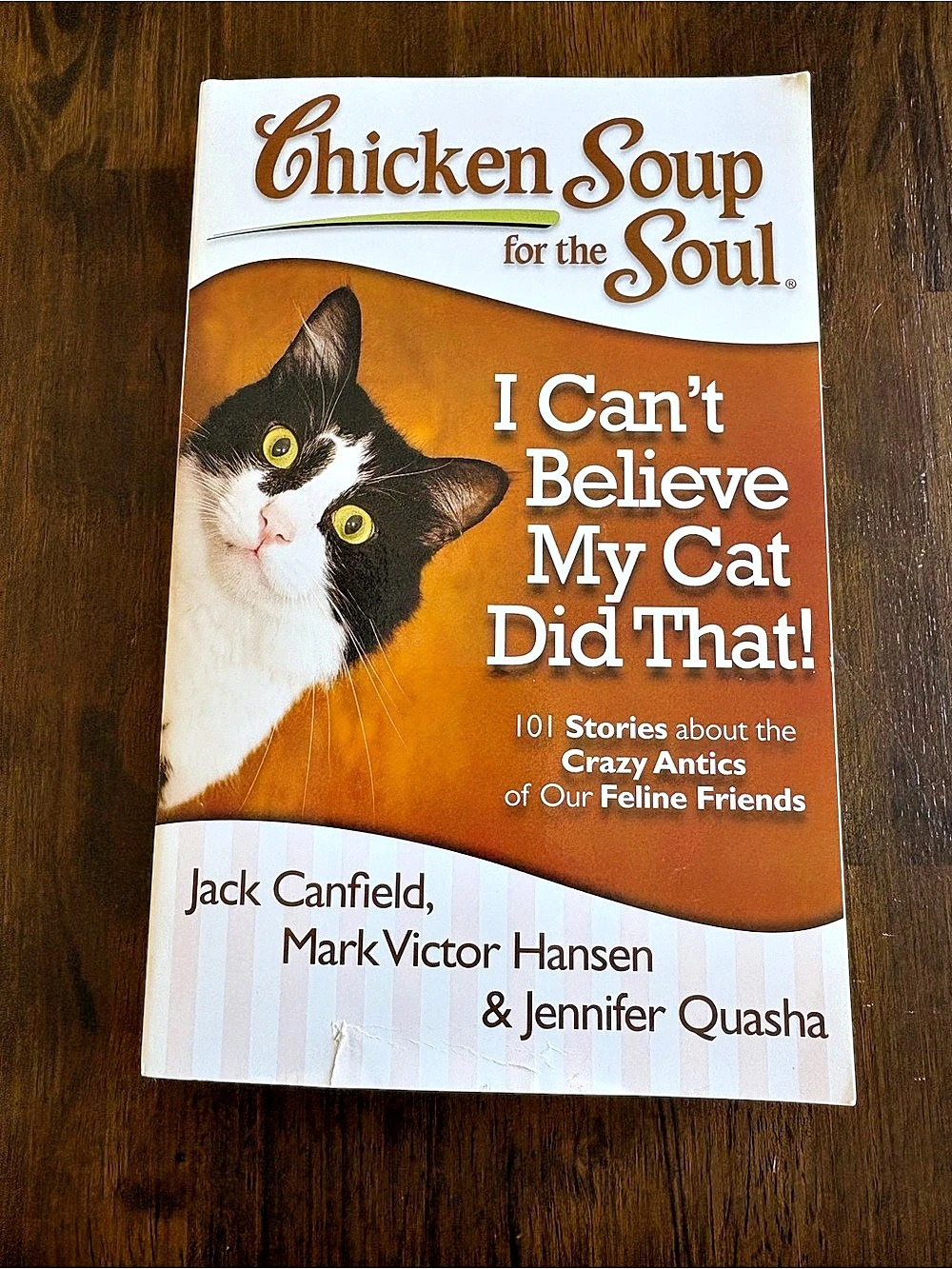 Chicken Soup for the Soul I Can't Believe My Cat Did That! Cat Story Collection